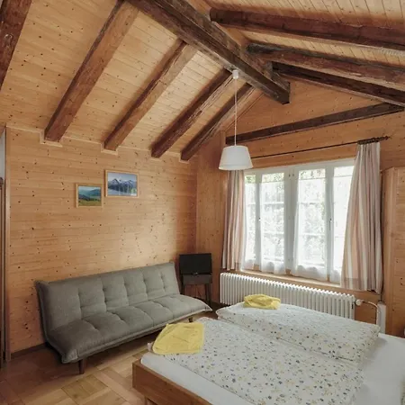 Citychalet Historic Daire *