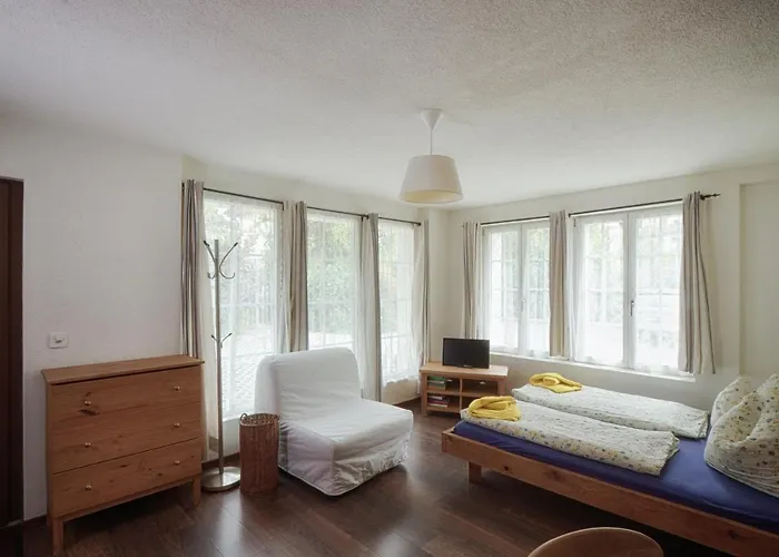 历史城市木屋酒店 * 因特拉肯